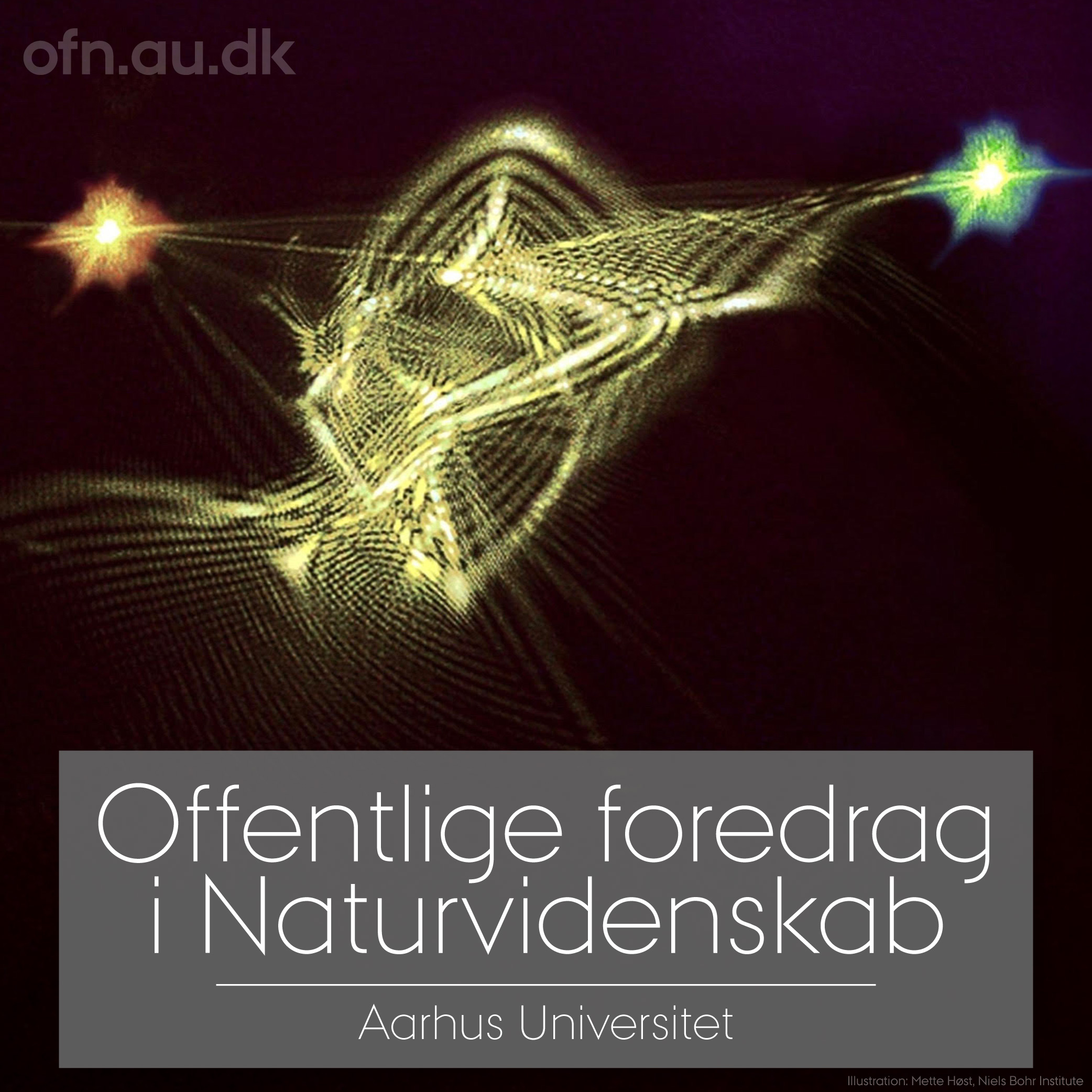 Kvantecomputeren
