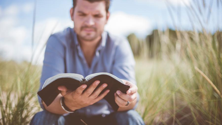 En mand der sidder i højt sandgræs og læser