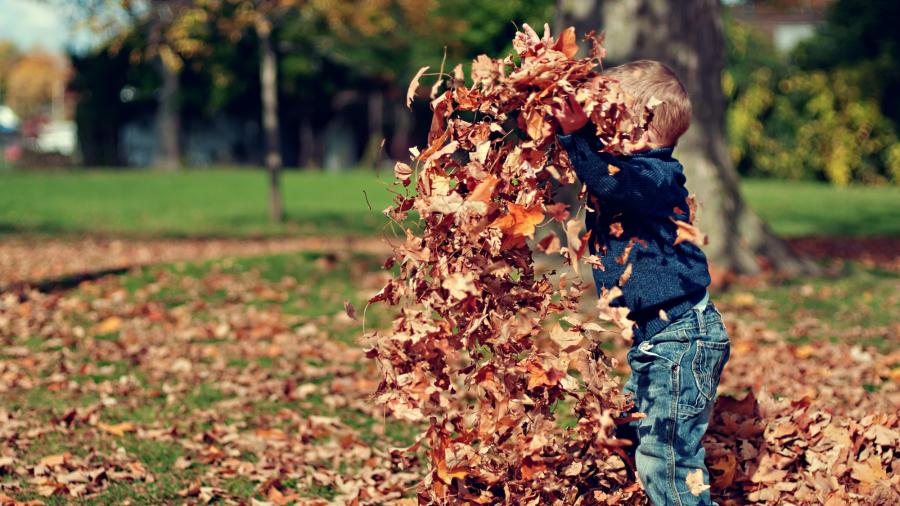 Barn der leger i efterårsblade